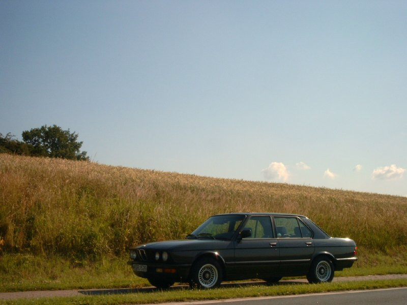 BMW 5-series E28 фото 36415