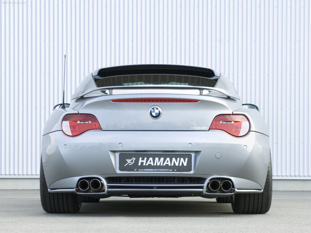 Hamann BMW Z4 M Coupe фото 39448