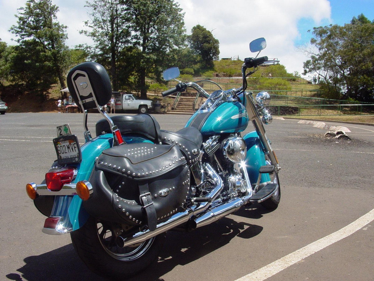 Harley-Davidson FLSTC Heritage Softail Classic фото 22213