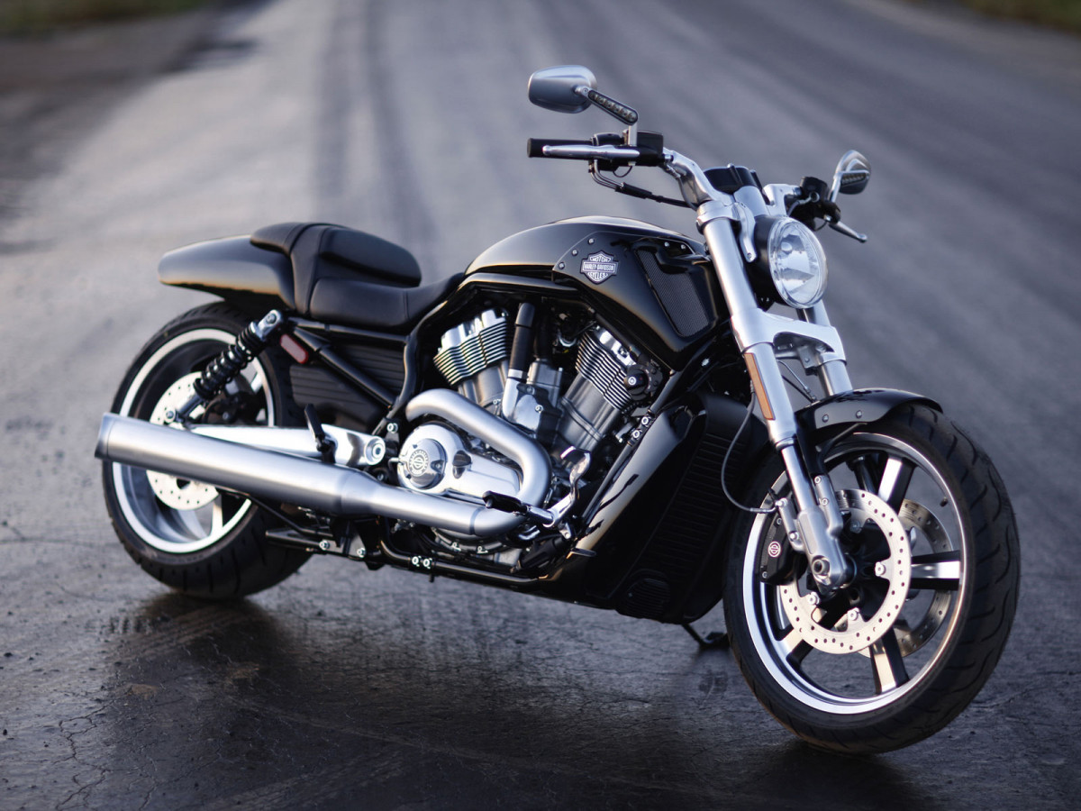 Harley-Davidson VRSCF V-Rod Muscle фото 72554