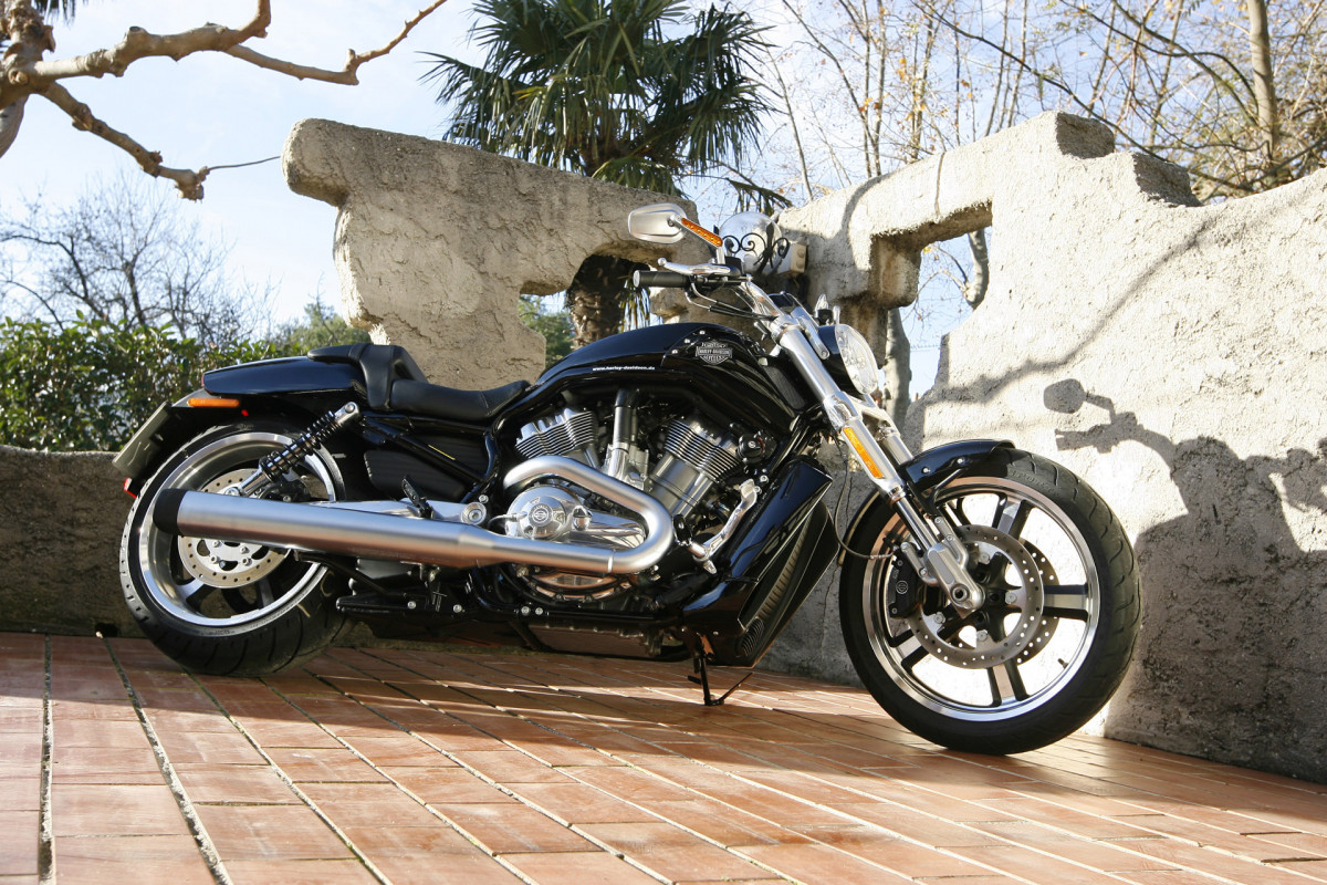 Harley-Davidson VRSCF V-Rod Muscle фото 72557