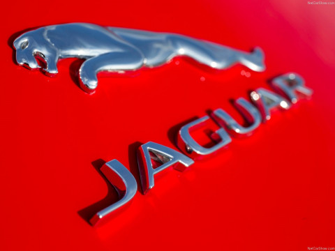 Jaguar F-Type R фото