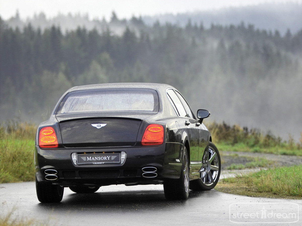 Mansory Bentley Continental Flying Spur фото 28367
