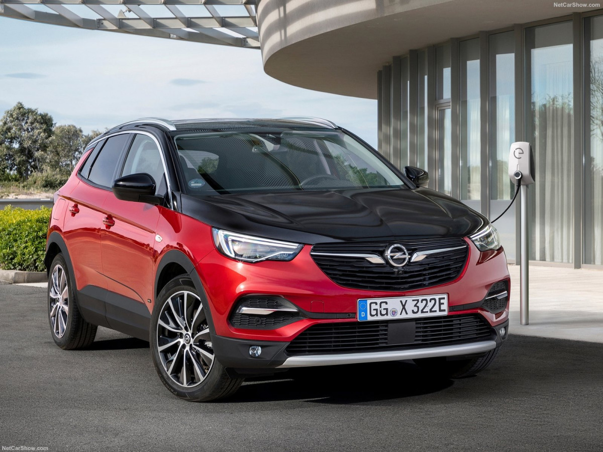 Opel Grandland фото 202018