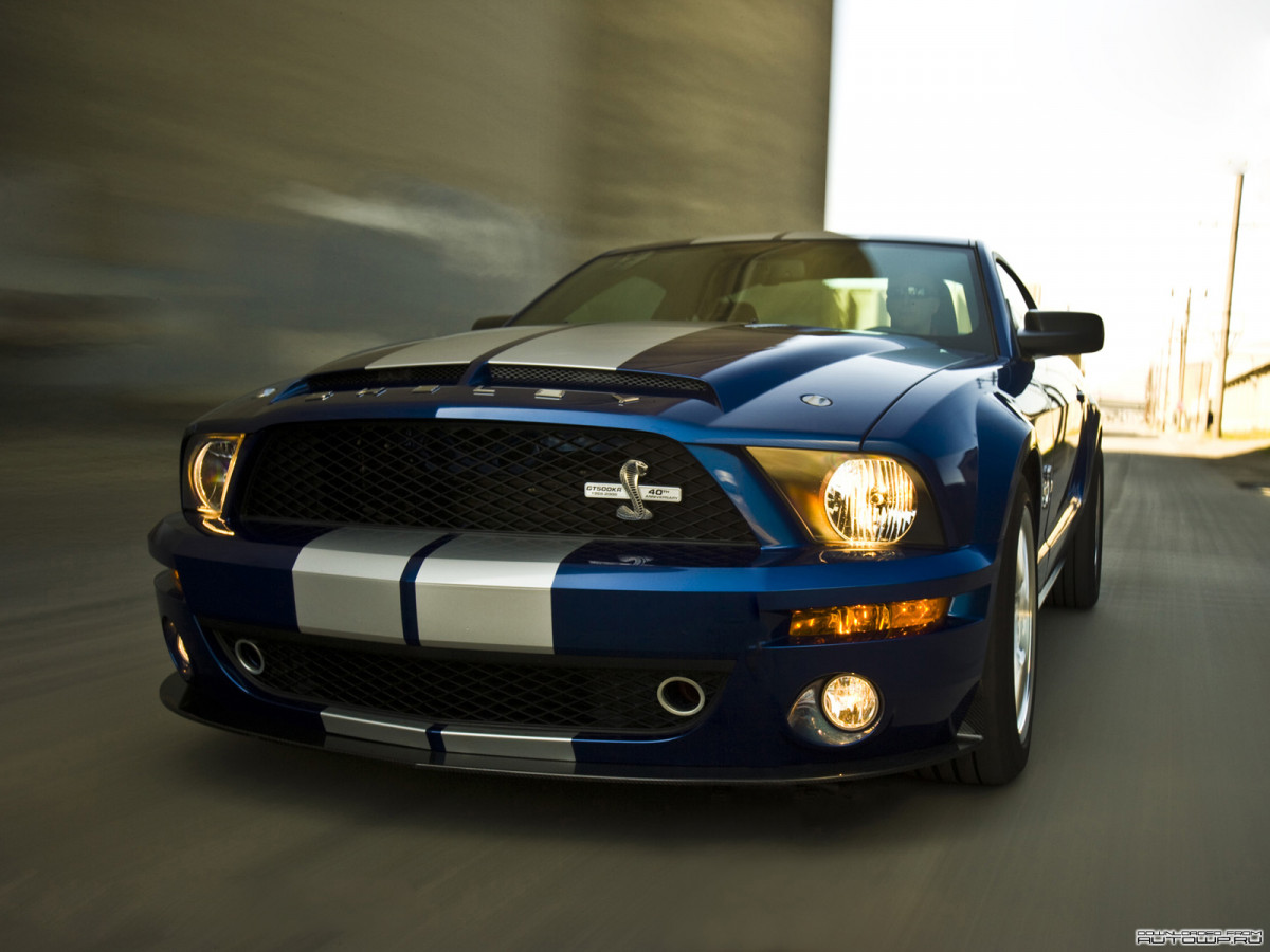 Shelby Super Cars Shelby GT500 KR 40th Anniversary фото 57994