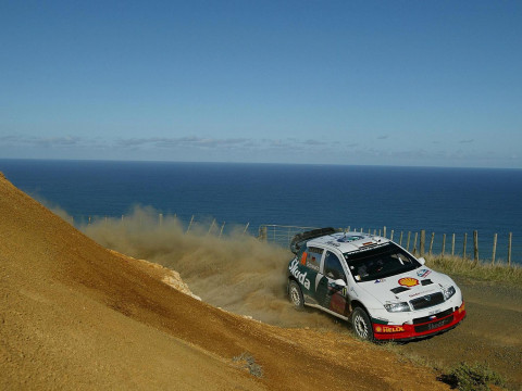 Skoda Fabia WRC фото