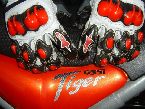 Triumph Tiger фото