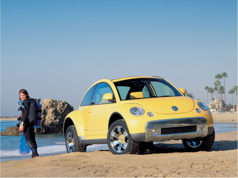 Volkswagen New Beetle Dune фото