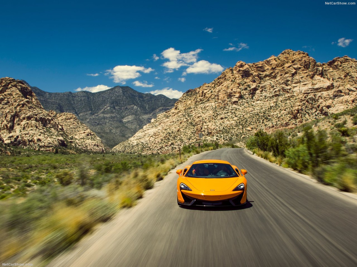 McLaren 570S Coupe фото 159530