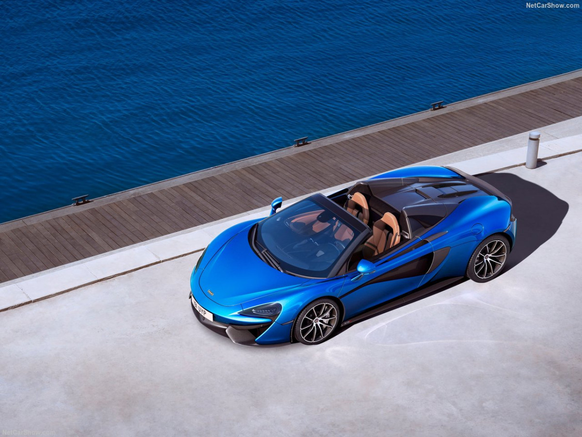 McLaren 570S Spider фото 184857