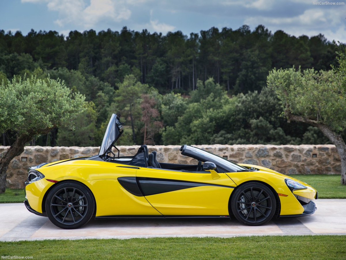 McLaren 570S Spider фото 186031