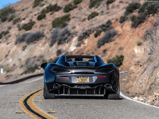 McLaren 570S Spider фото