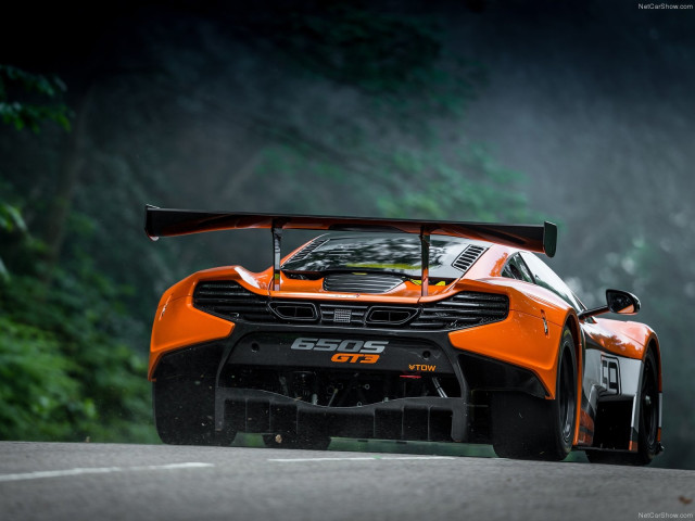 McLaren 650S GT3 фото