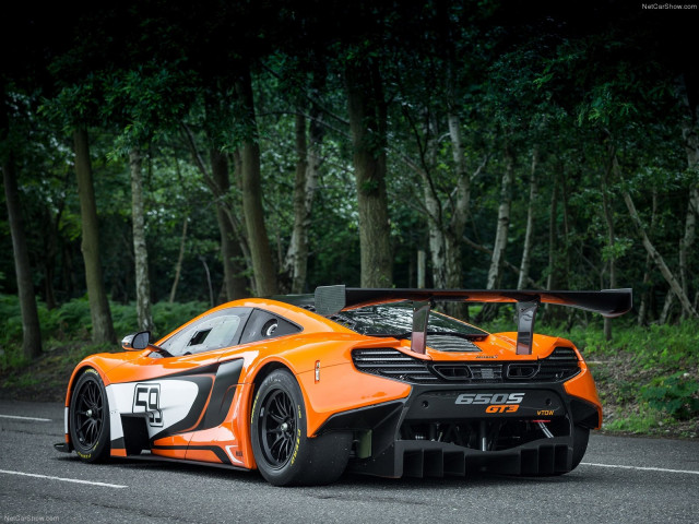 McLaren 650S GT3 фото