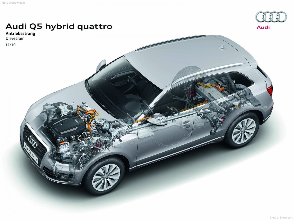 Audi Q5 Hybrid quattro фото 79761