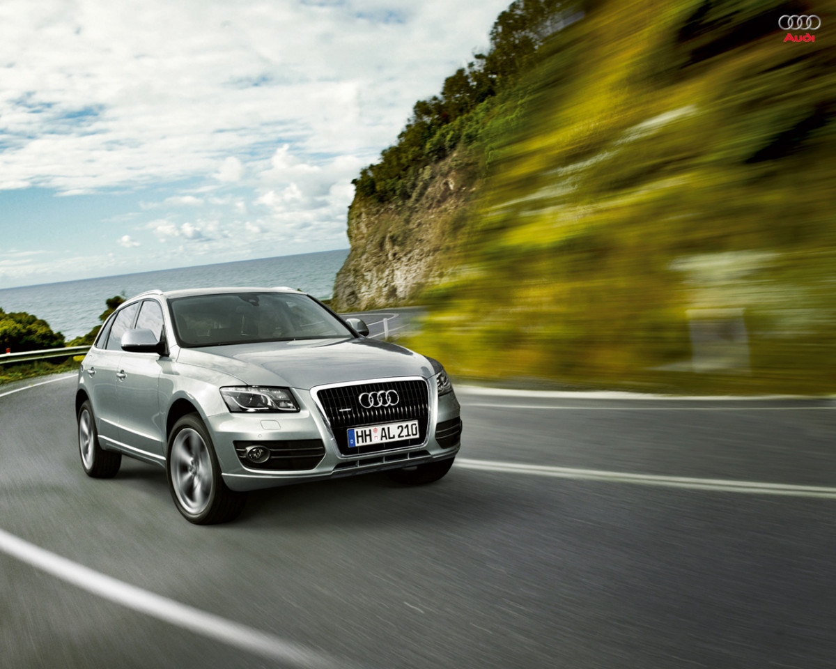 Audi Q5 фото 55161