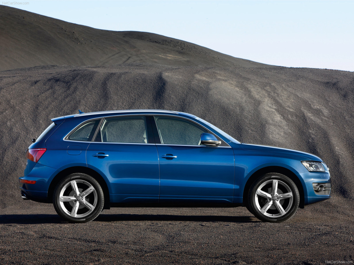 Audi Q5 фото 56894