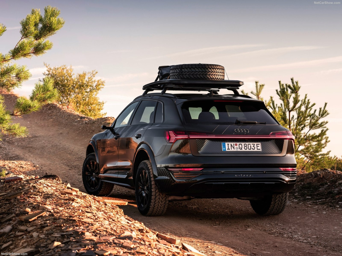 Audi Q8 e-tron фото 211726