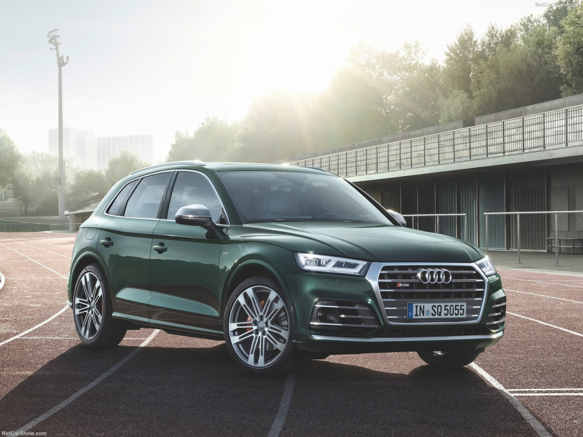 Audi SQ5 фото 189049