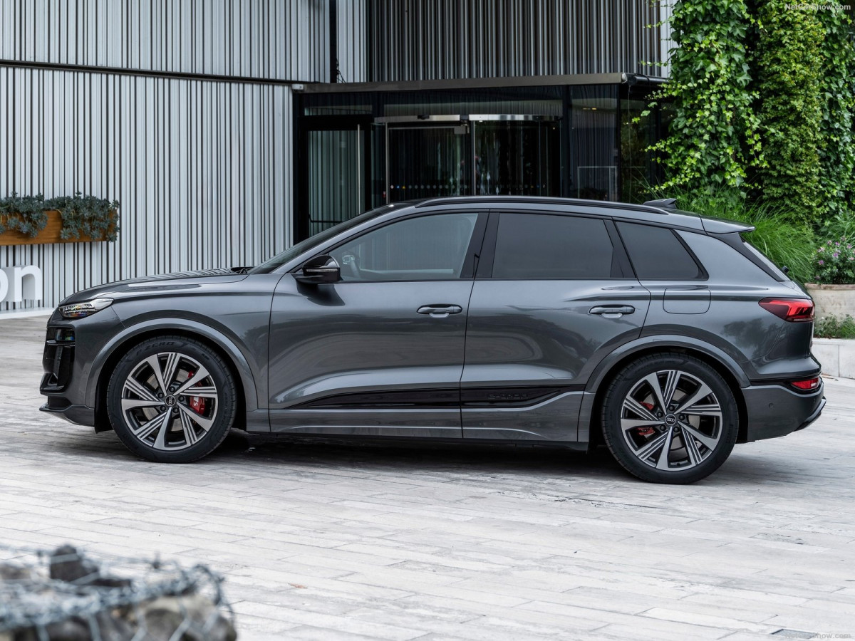 Audi SQ6 фото 212534