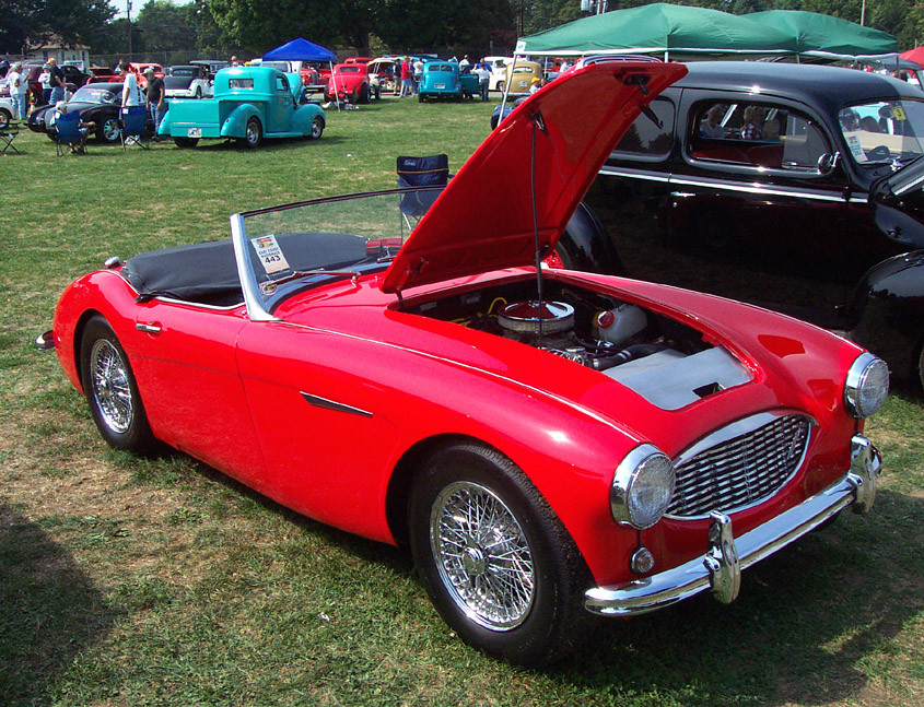 Austin Healey фото 5653