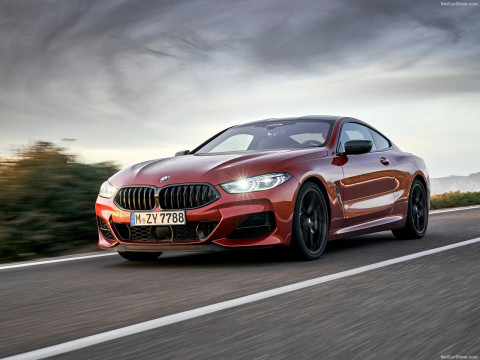 BMW 8-series G15 фото