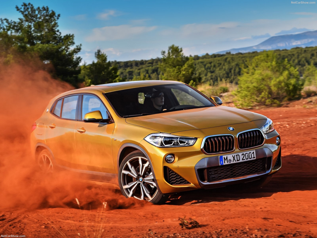 BMW X2 фото 189138