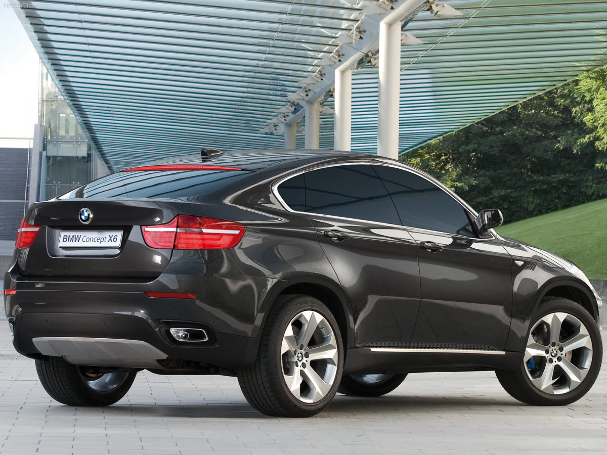 BMW X6 фото 47308