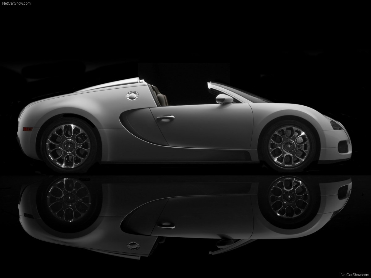 Bugatti Veyron Grand Sport фото 63699