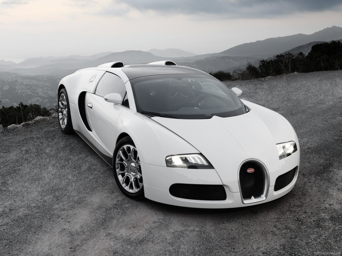 Bugatti Veyron Grand Sport фото 63706