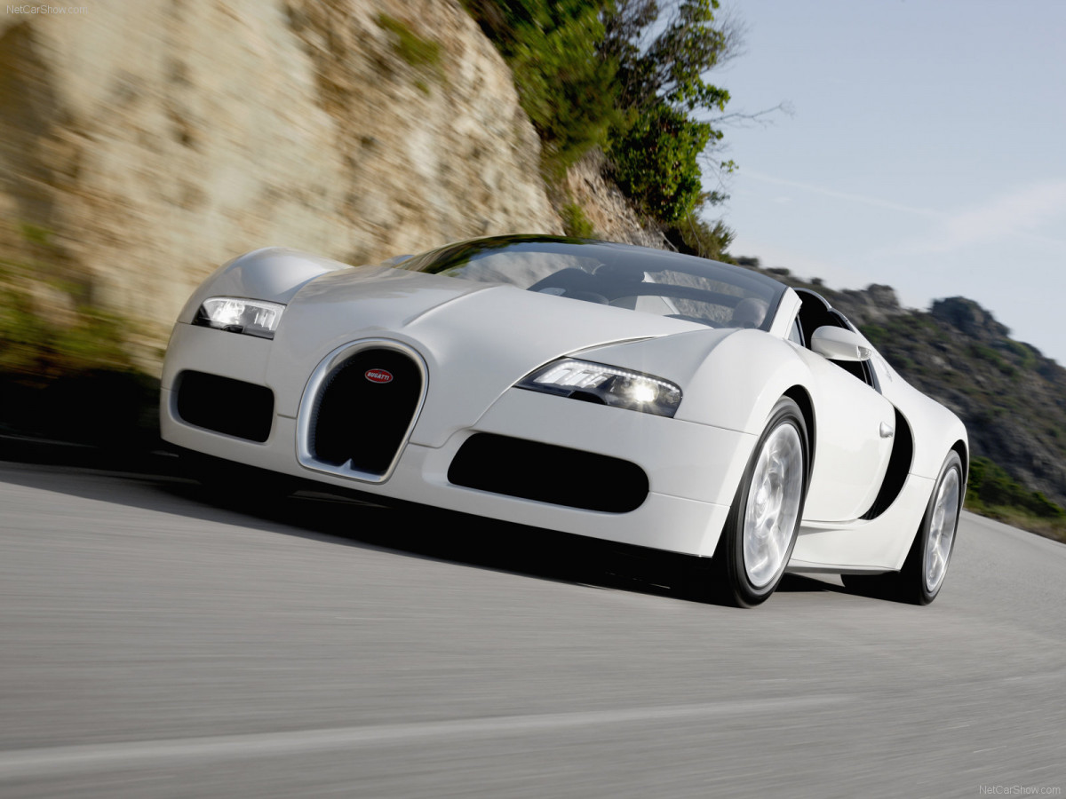 Bugatti Veyron Grand Sport фото 63714