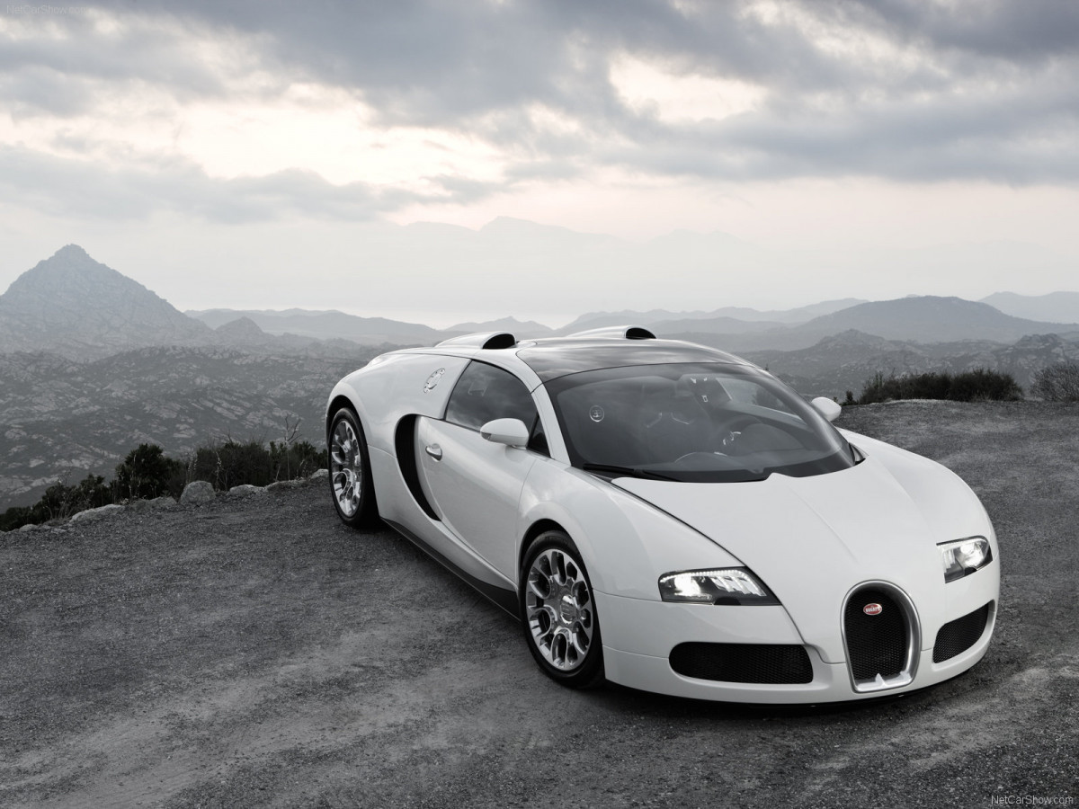 Bugatti Veyron Grand Sport фото 63719