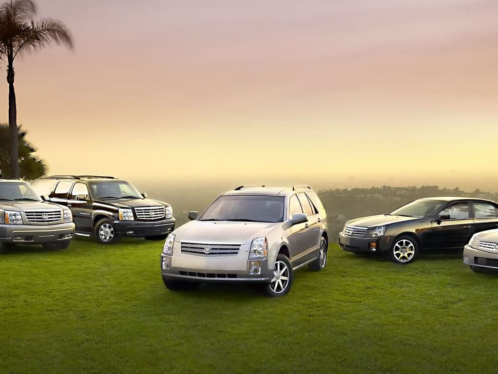 Cadillac SRX фото 8027