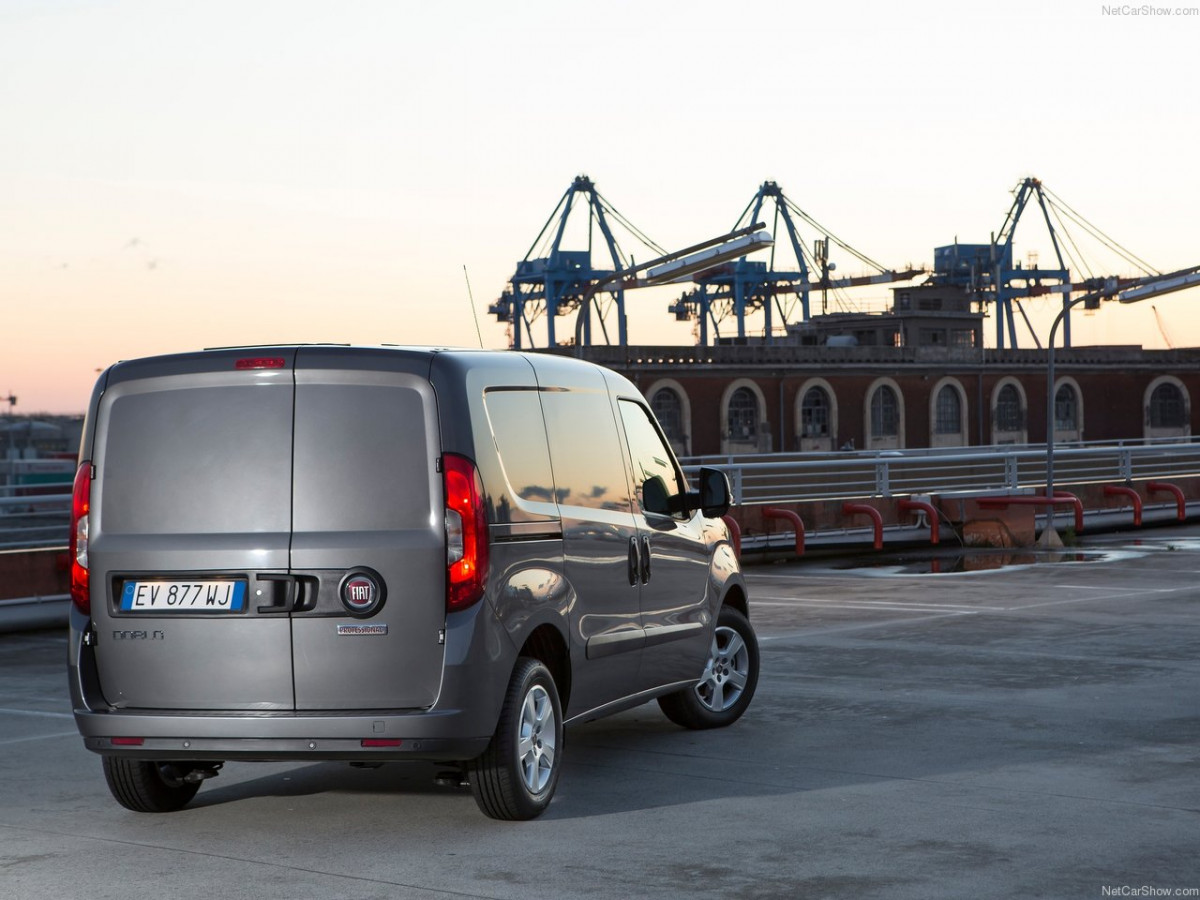 Fiat Doblo Cargo фото 152009