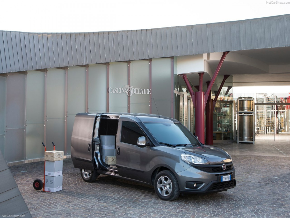 Fiat Doblo Cargo фото 152012