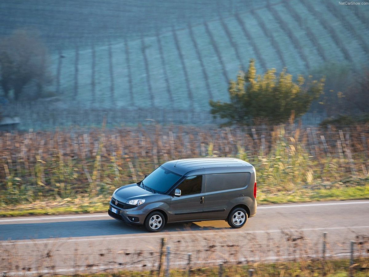 Fiat Doblo Cargo фото 152015