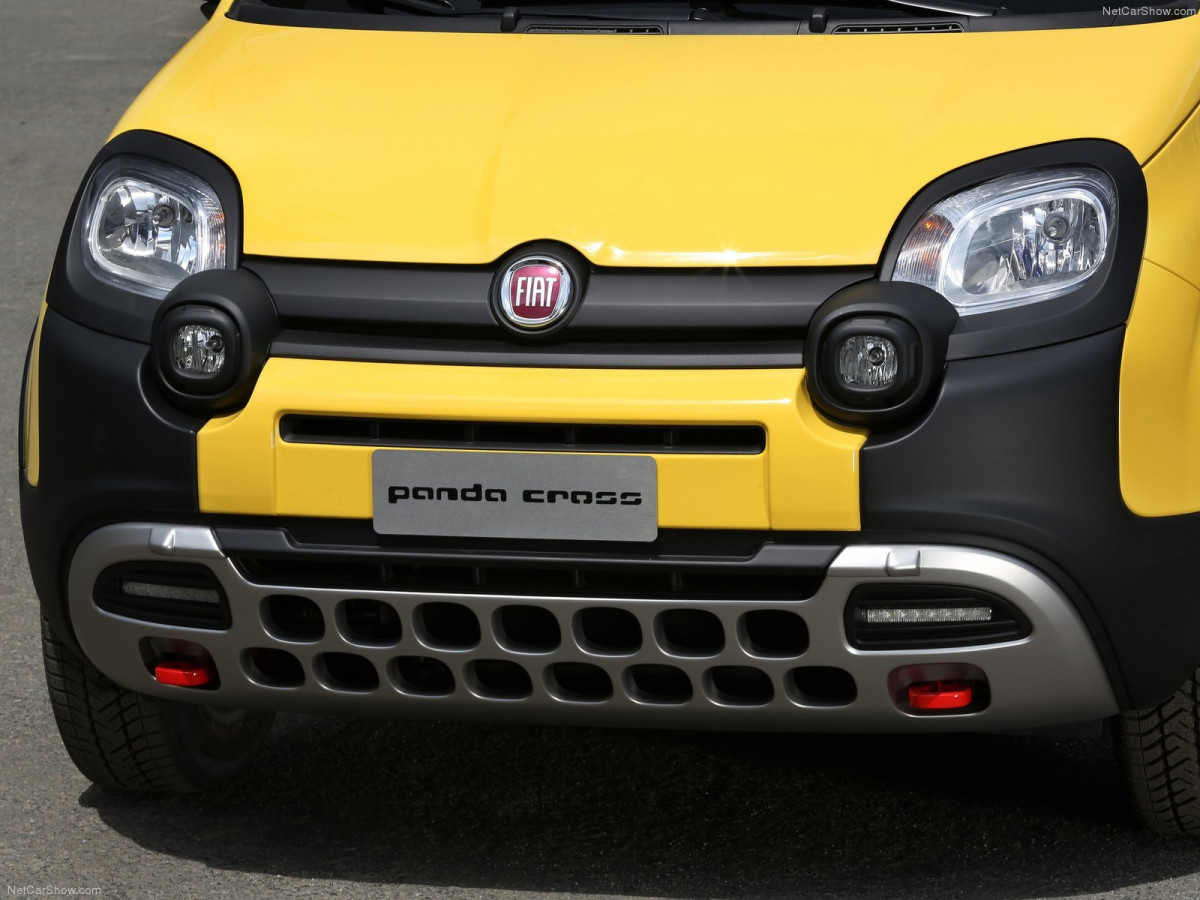 Fiat Panda Cross фото 129384