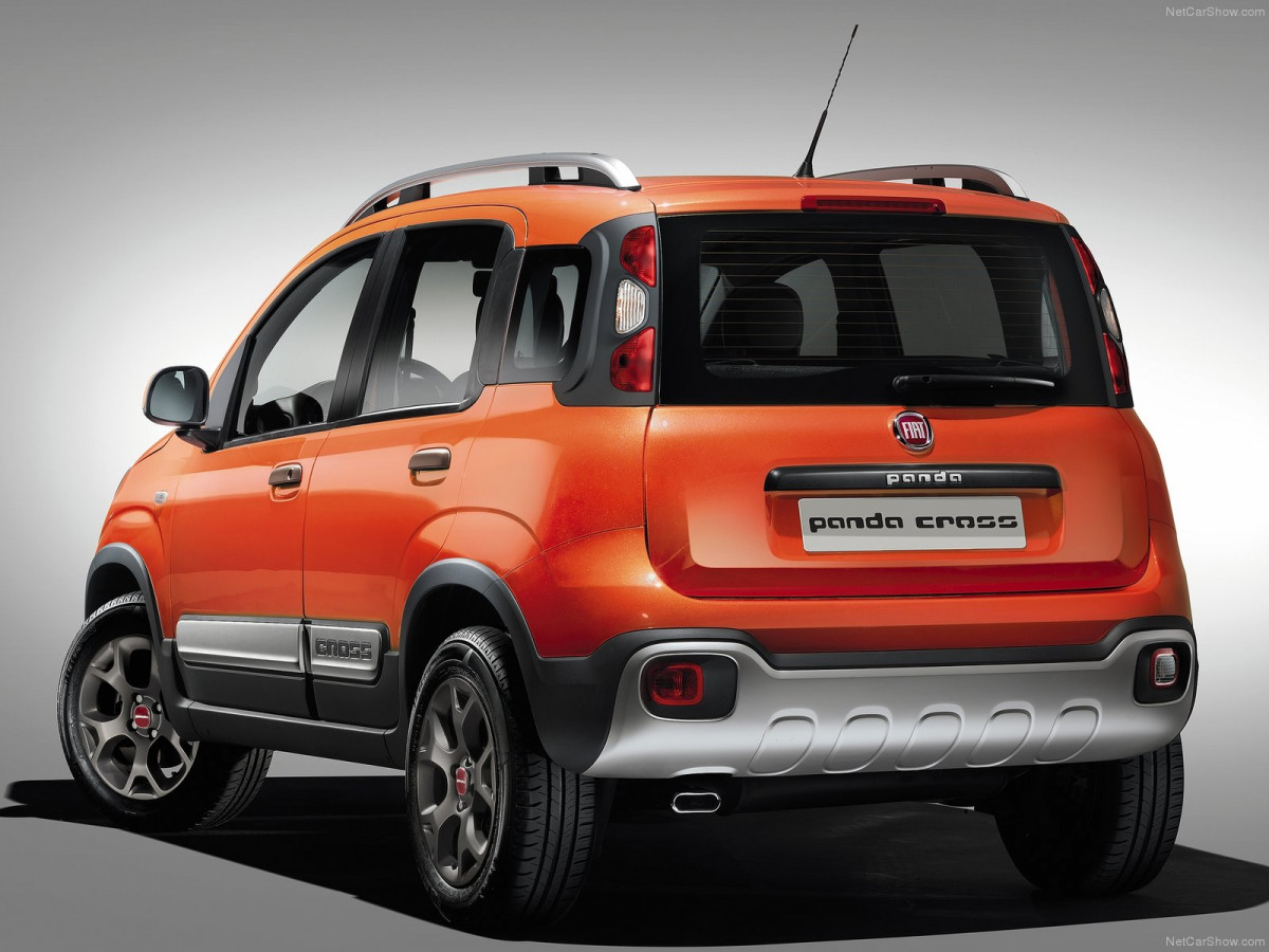 Fiat Panda Cross фото 129395