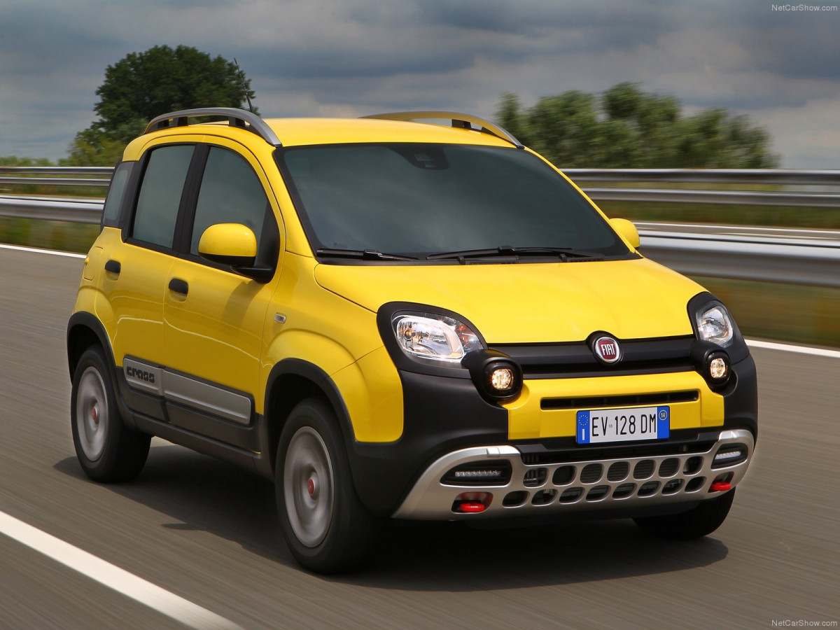 Fiat Panda Cross фото 129426