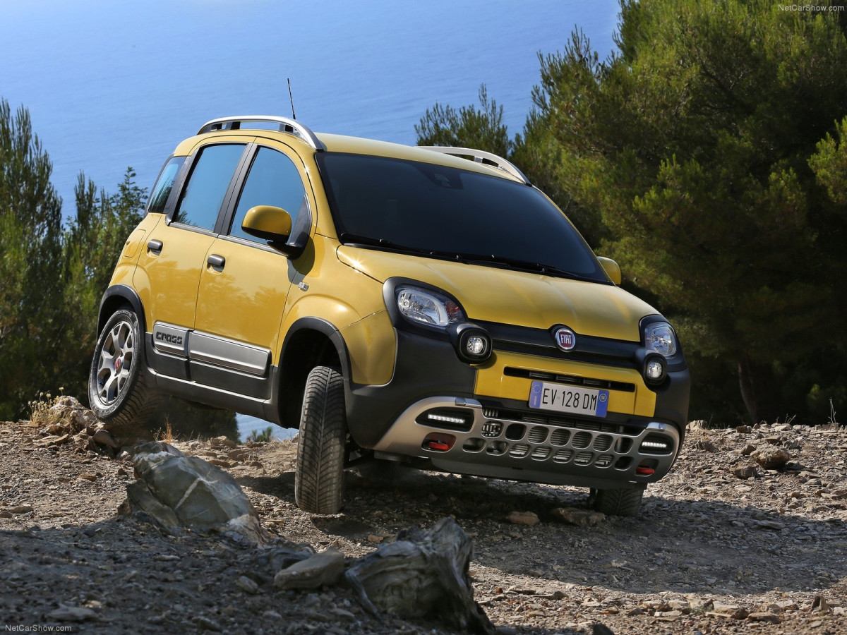 Fiat Panda Cross фото 129436