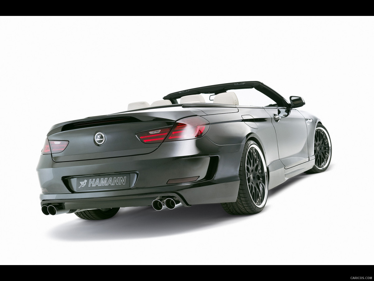 Hamann BMW 6 Series (E63) фото 137761