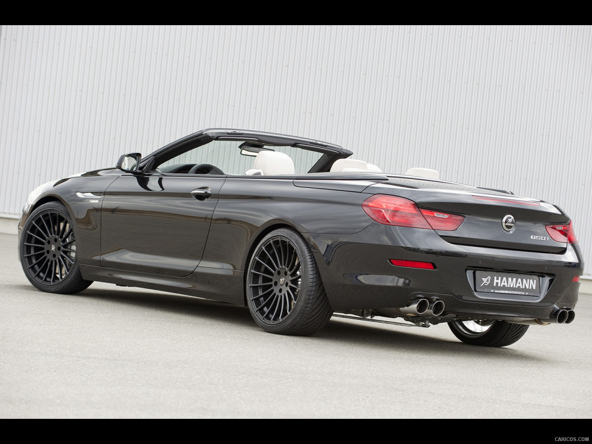 Hamann BMW 6 Series (E63) фото 137766