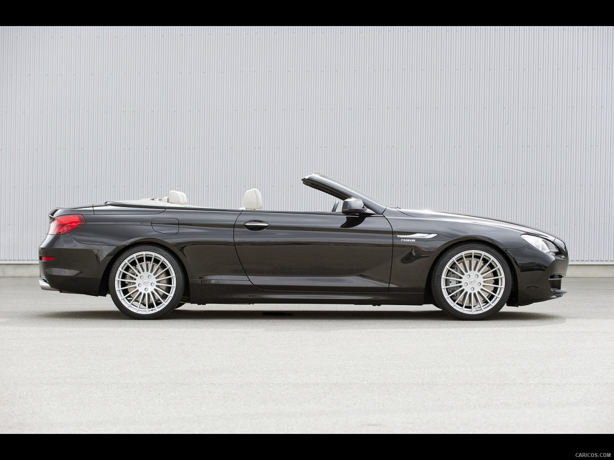 Hamann BMW 6 Series (E63) фото 137778