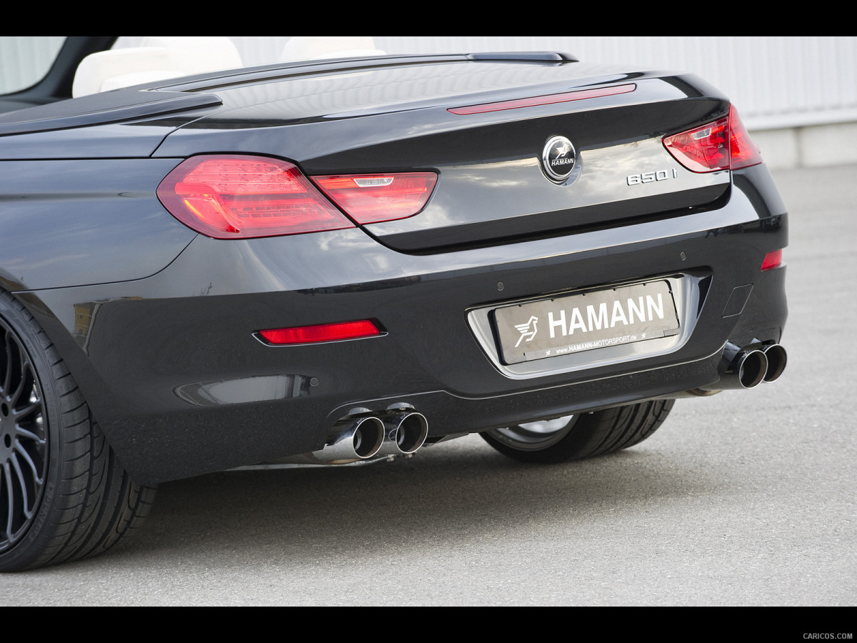 Hamann BMW 6 Series (E63) фото 137780