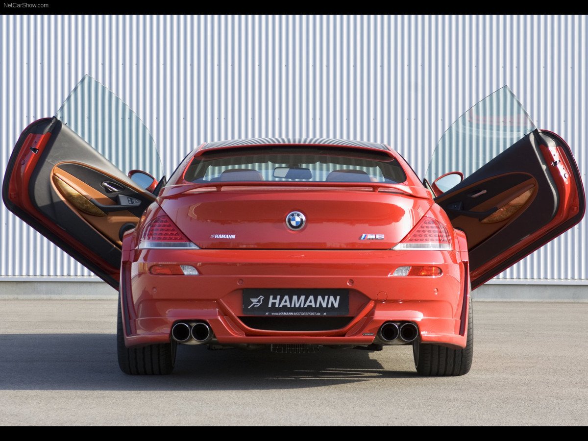 Hamann BMW M6 фото 38959