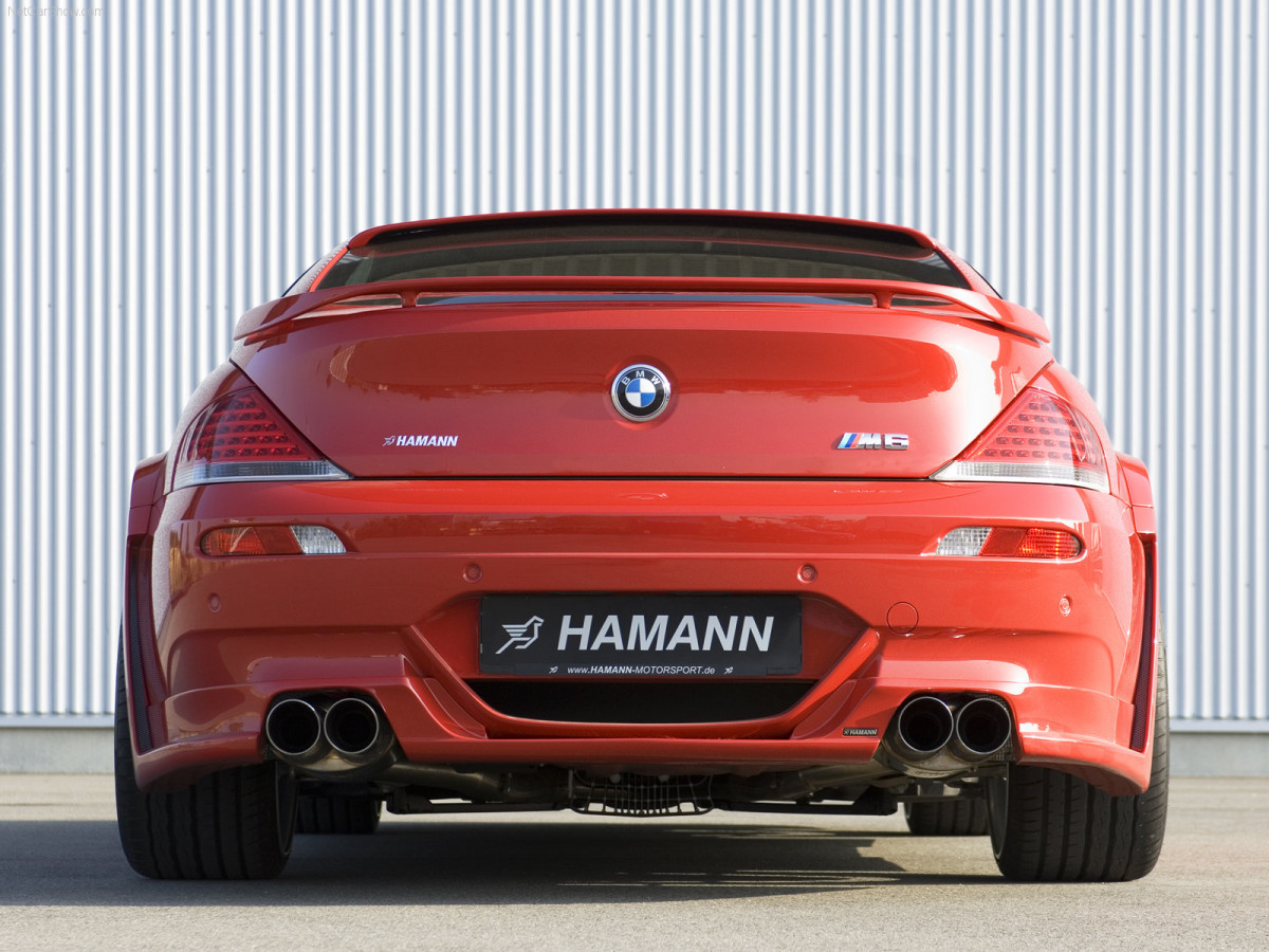 Hamann BMW M6 фото 38961