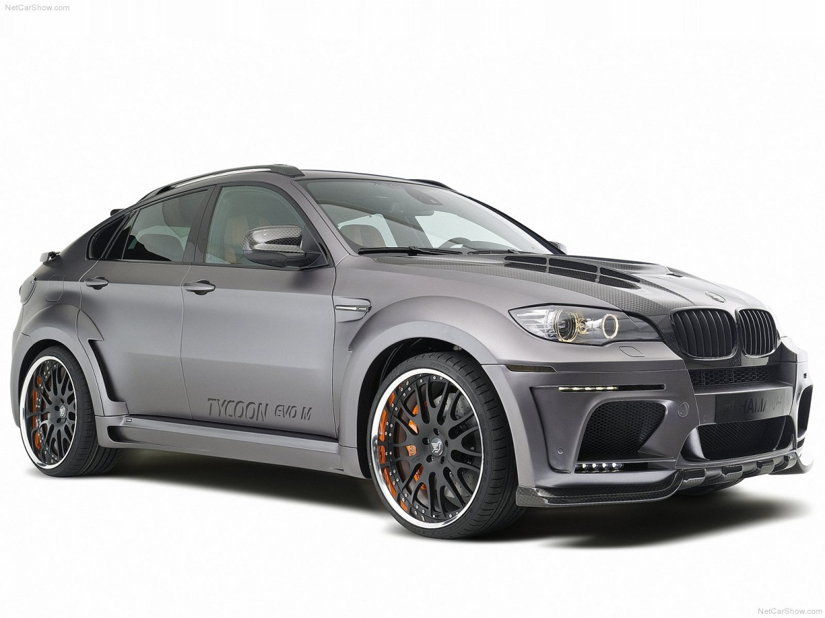 Hamann BMW X6 Tycoon Evo M фото 82326