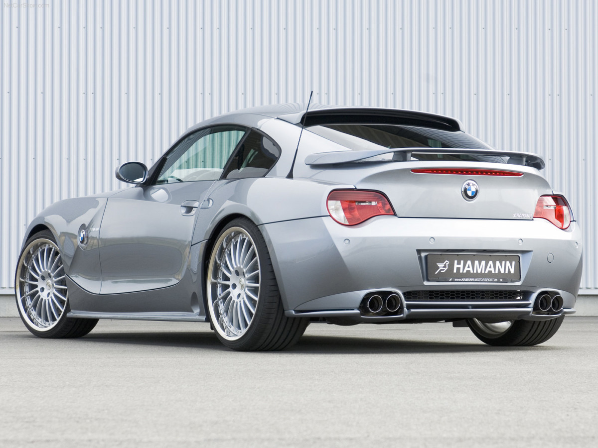 Hamann BMW Z4 M Coupe фото 39451