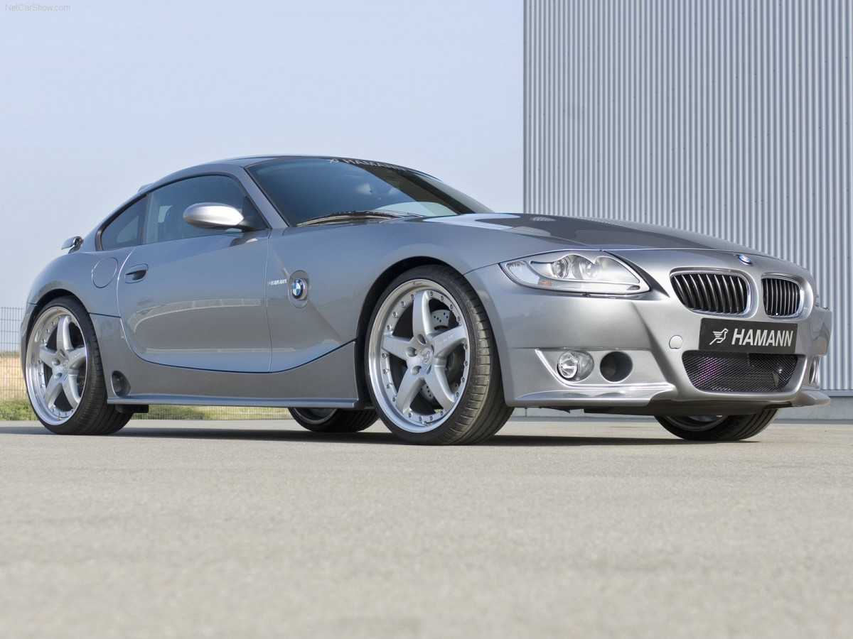 Hamann BMW Z4 M Coupe фото 39457