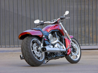 Harley-Davidson VRSCF V-Rod Muscle фото